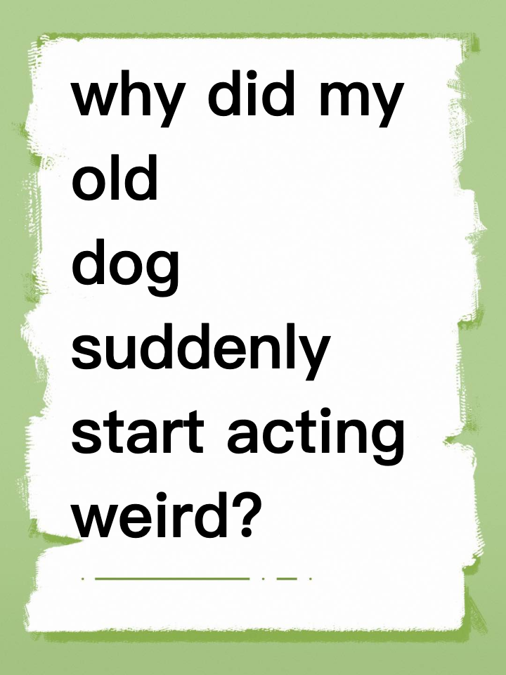 why did my old dog suddenly start acting so weird?
