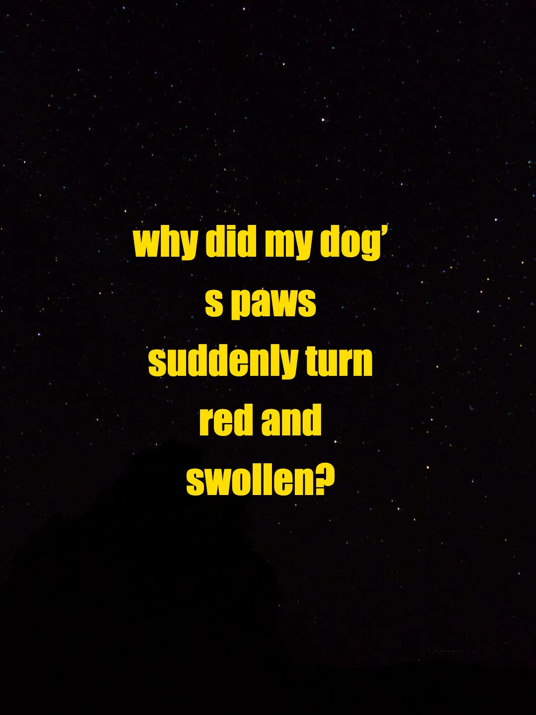 why did my dog’s paws suddenly turn red and swollen?