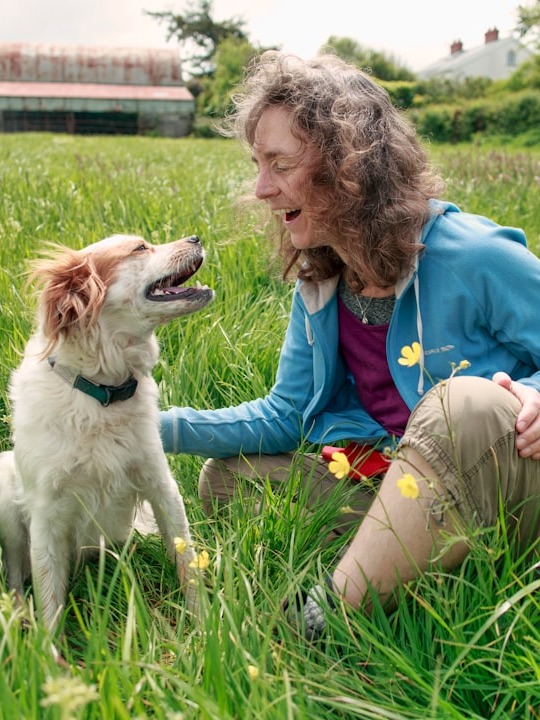 what actually happens if your dog licks your blood?