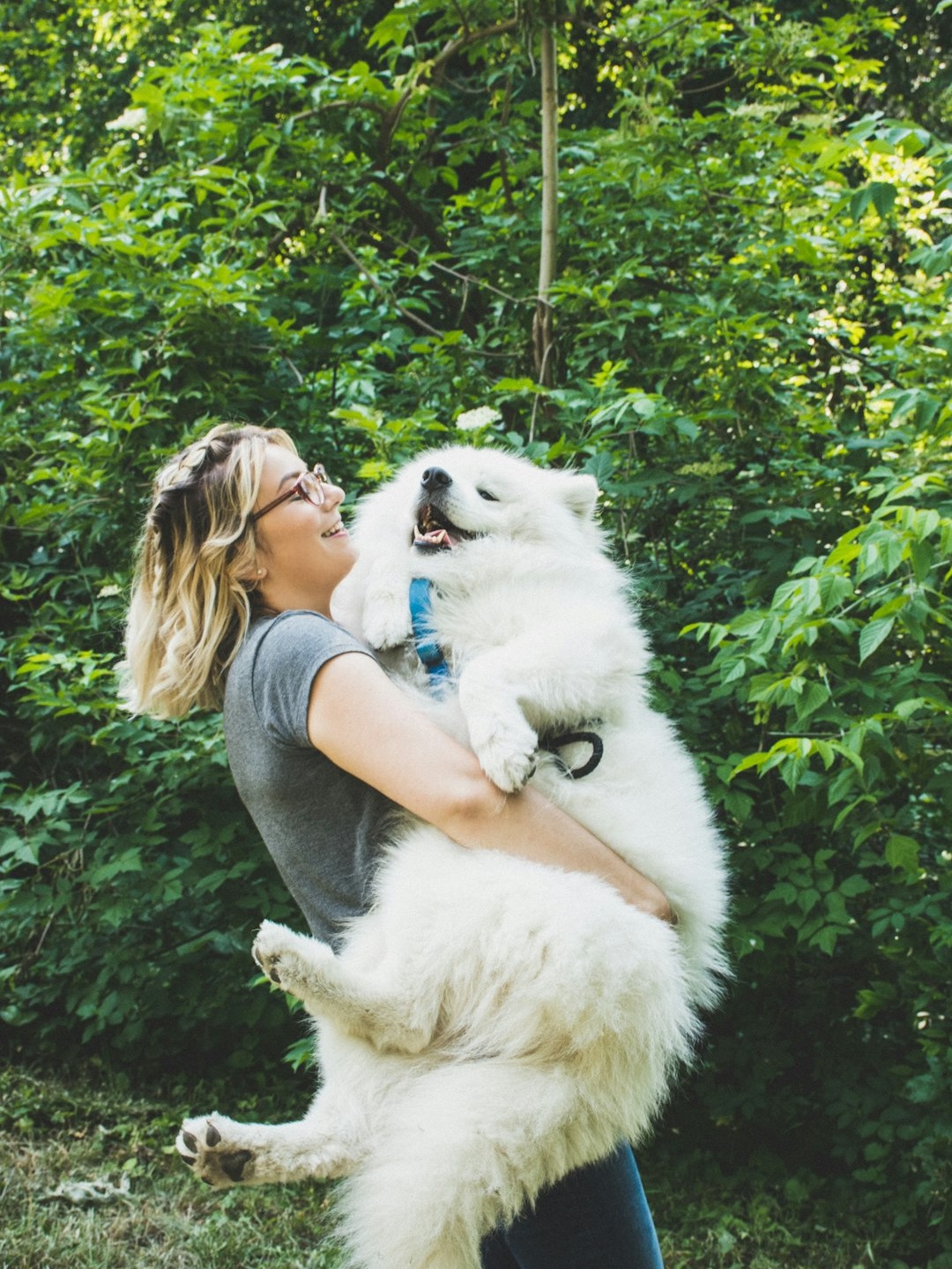 how did i convince my parents a dog would fix everything?