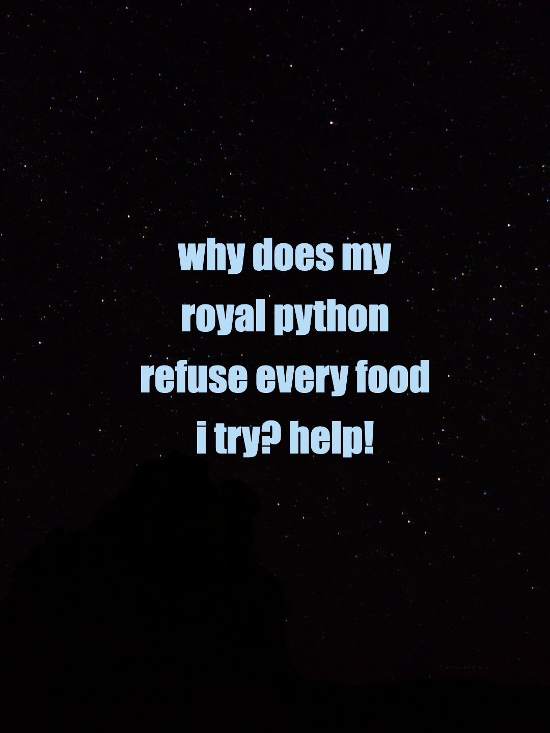 why does my royal python refuse every food i try? help!