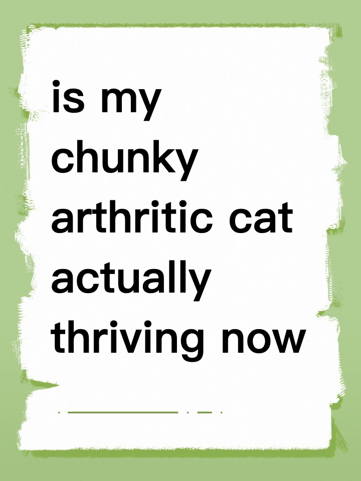 is my chunky arthritic cat actually thriving now or what