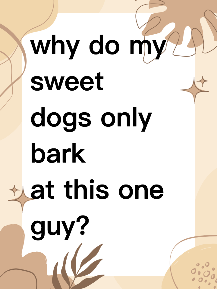 why do my sweet dogs only bark at this one guy?