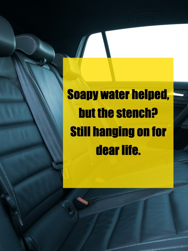 Baby Vomit in the Car… Help Me Get Rid of the Smell! 🤢