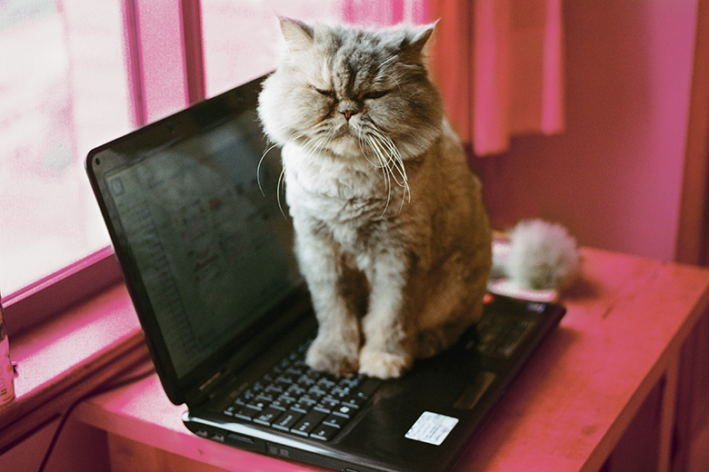 Struggling to Focus? Try These Hacks!