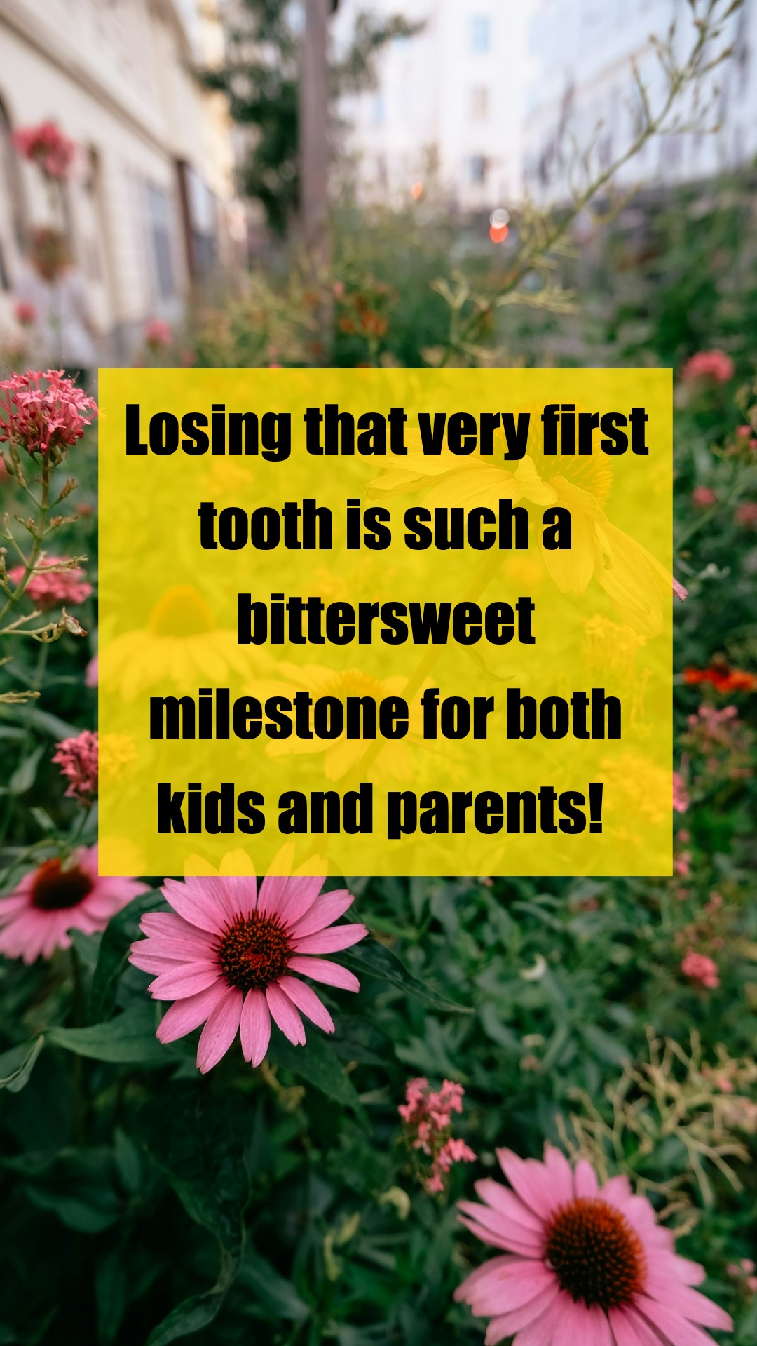 Milestone Moments: When Did Your Child Lose Their First Tooth?