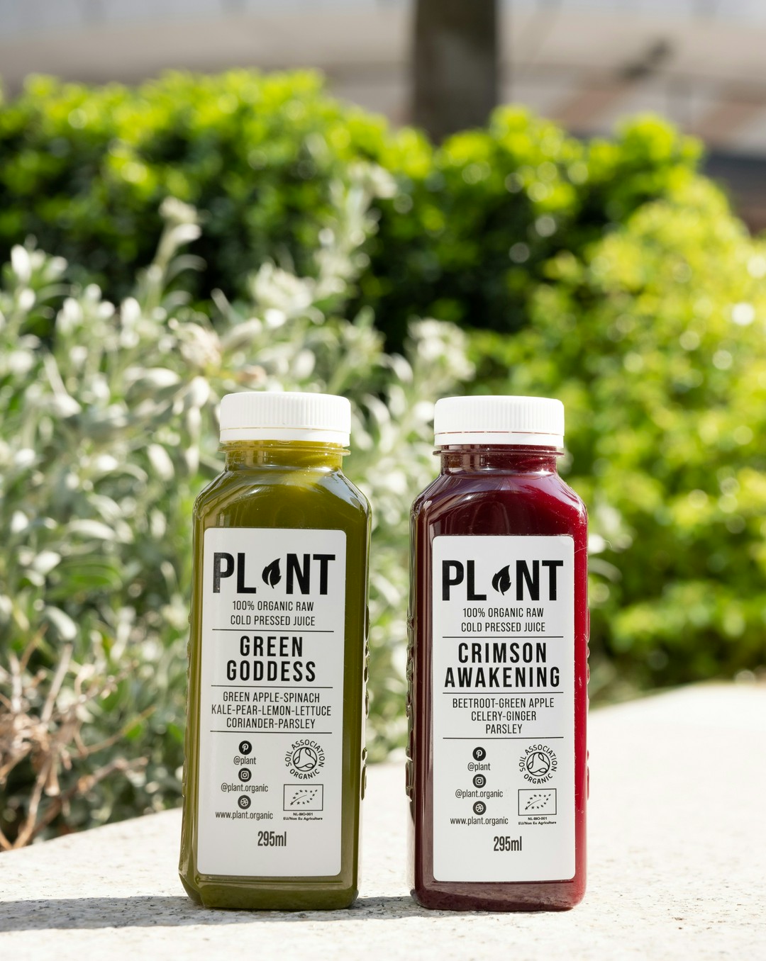 My First Juice Fast: What I Wish I Knew