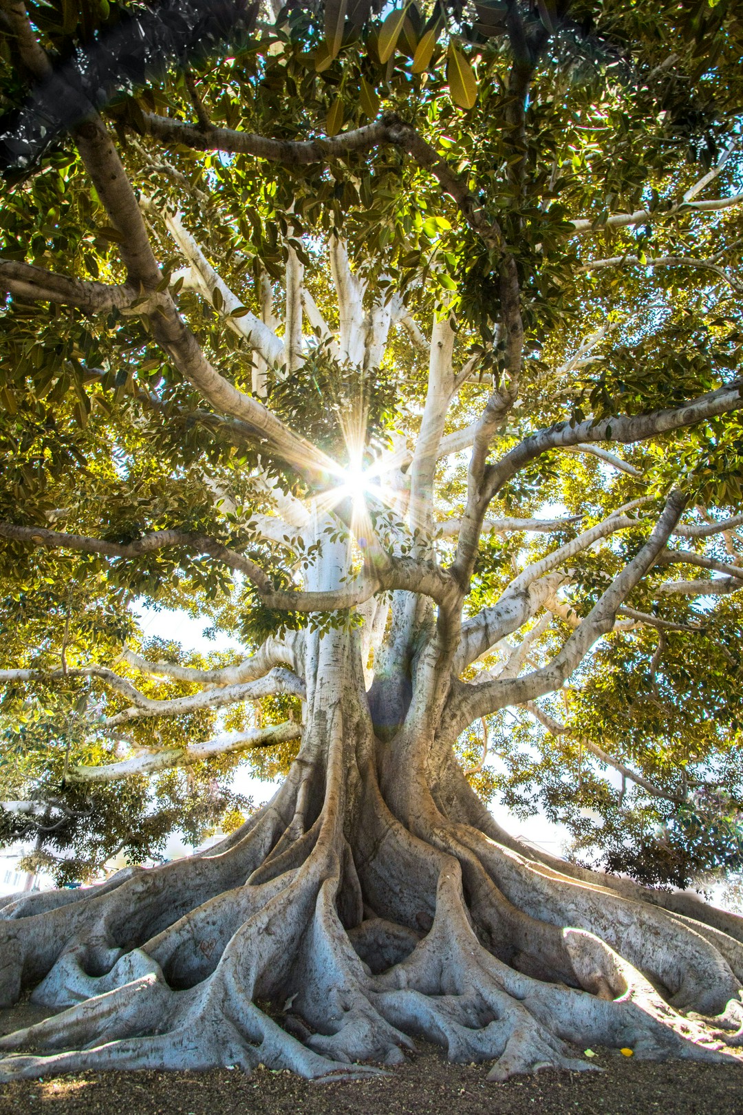 Finding Joy in the Simple Moments of Life