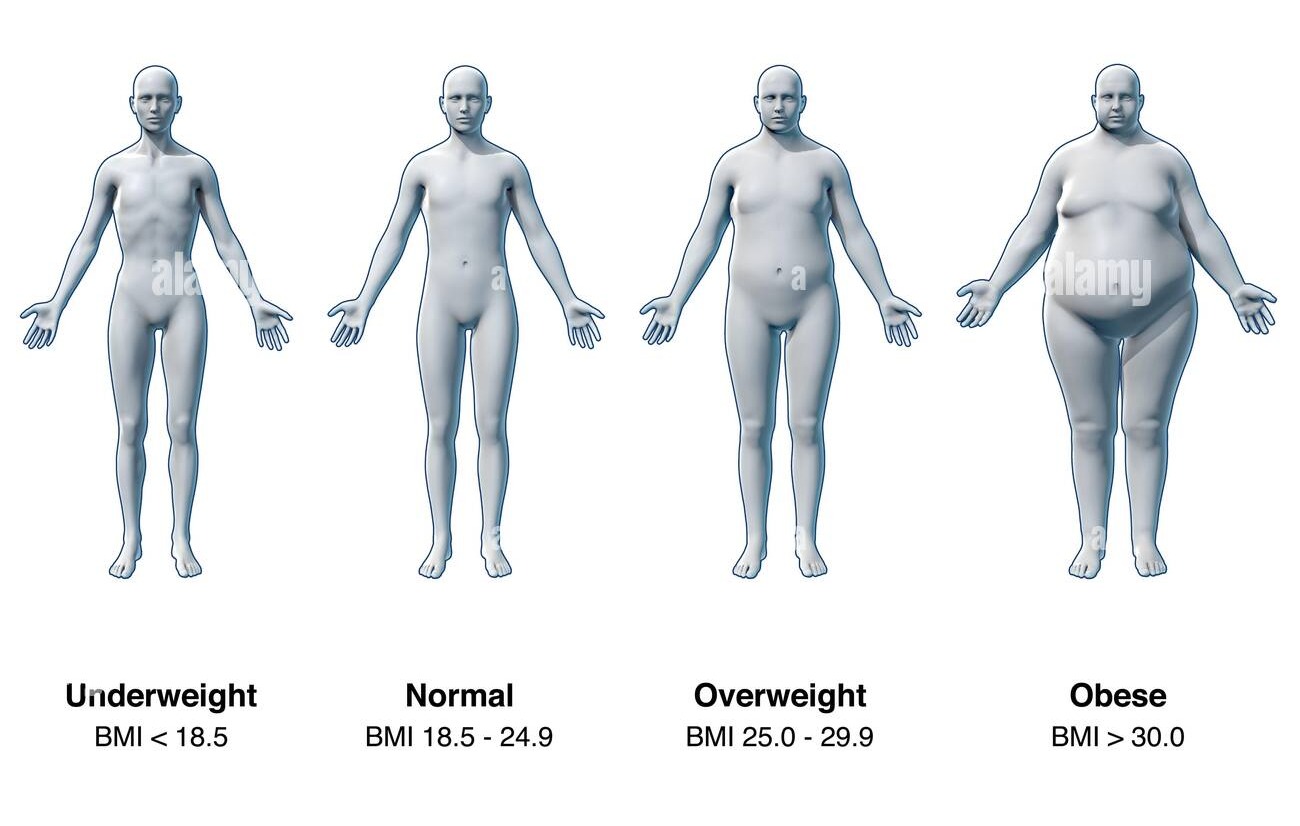 How I Nailed My Body Fat % at Home
