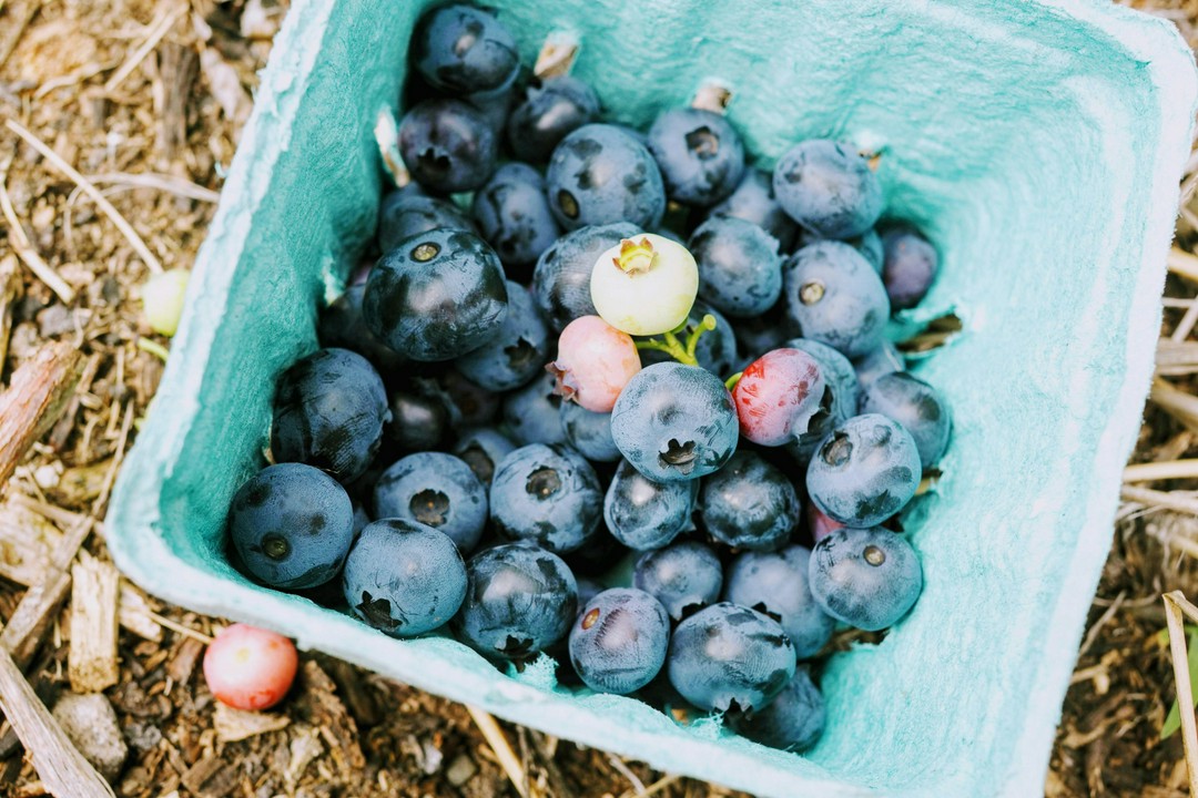 How I Boosted My Vibes With Food Swaps
