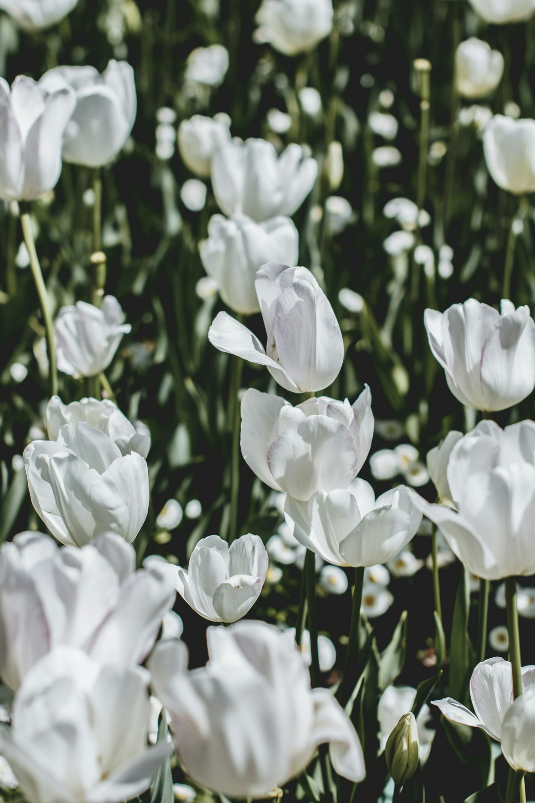 Overwhelmed? Here’s How I Tackle Problems!