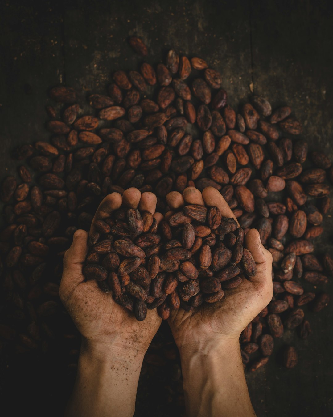 Can Cocoa and Saffron Boost Your Eye Health—and Your Style?