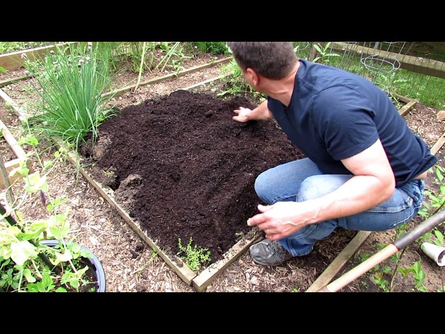 why did i dig up my whole backyard and plant everything at once?