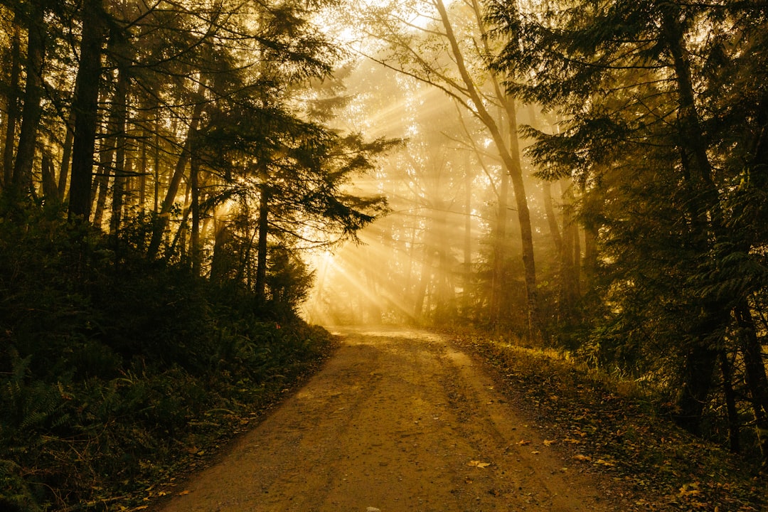 Eight Days Smoke-Free: Searching for Hope and Strength