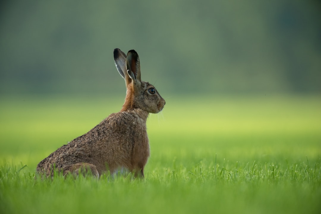 Embracing Our Shared Connection: We Are All One