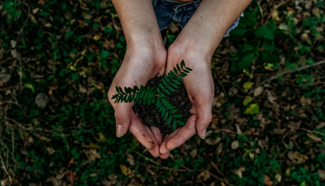 Get Real: Embrace a Down-to-Earth Life!