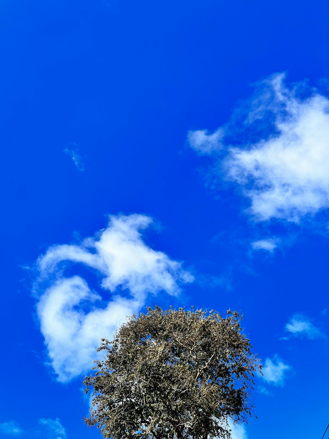 How I Stopped Overdoing It for Others