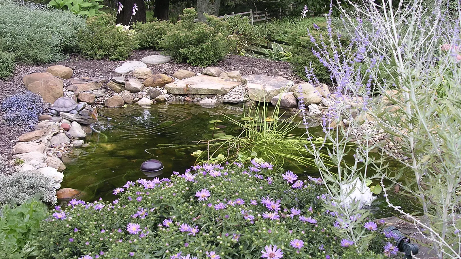 how did my wife turn a boring yard into a secret garden oasis?