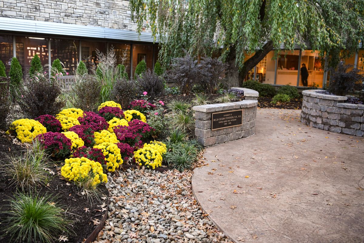 how did my wild backyard turn into a blooming paradise overnight?