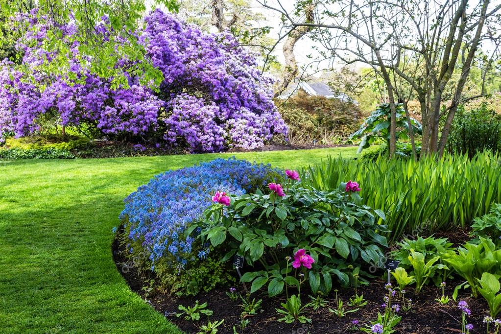 why did my mom secretly turn my backyard into a flower wonderland?