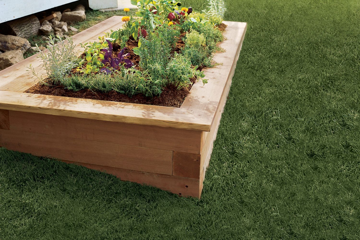 did my wild yard really get me a ticket? here’s how i turned chaos into a garden paradise