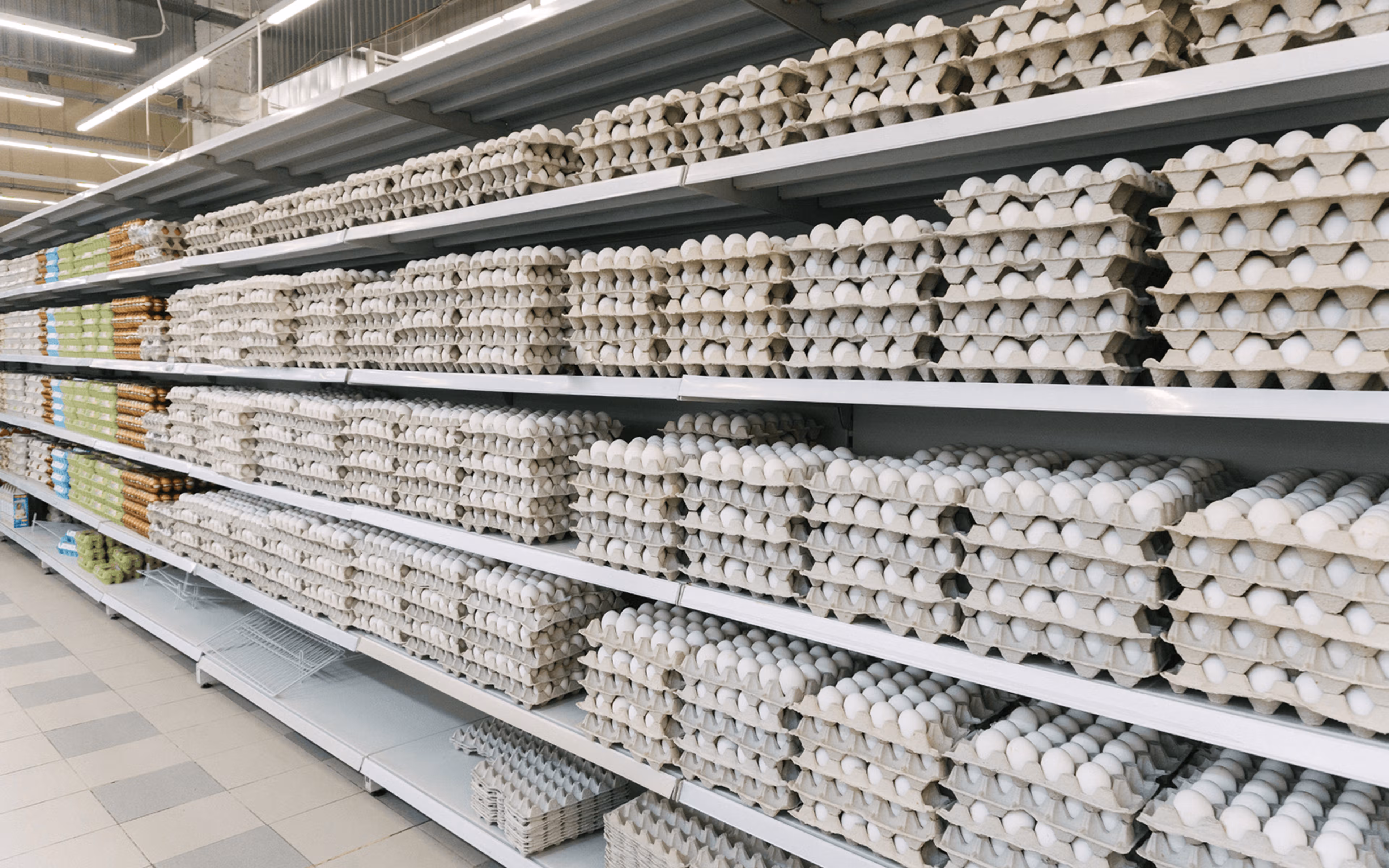Why Are Store Eggs Just Sitting Out?! This Makes No Sense
