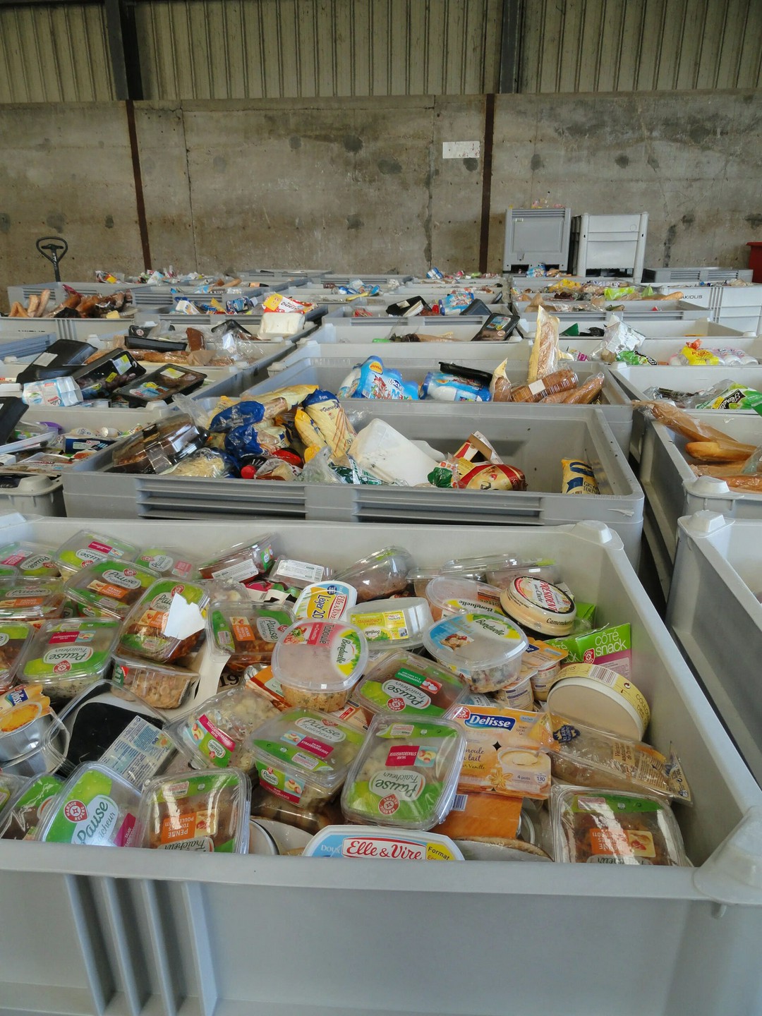 Why Are Grocery Stores Wasting So Much Food?!
