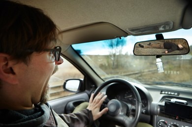 The Wildest Thing I’ve Seen on the Road—And What I Learned