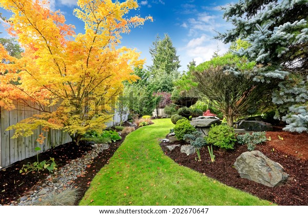 how did my aunt turn a wild czech yard into a secret paradise?