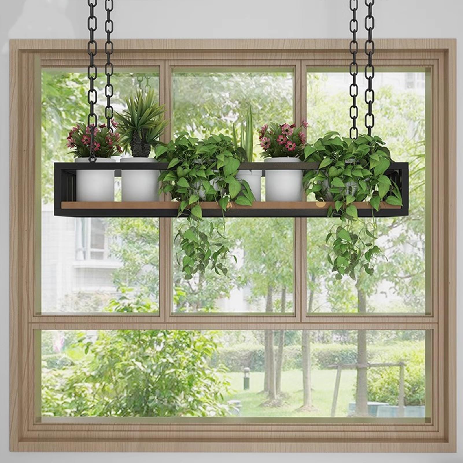 how did my basic costco greenhouse turn into a plant paradise?