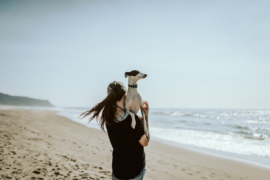 Trail-Tested Tails: The Best Dog Breeds for Hiking Adventures