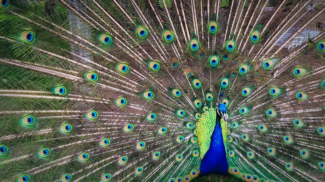 Breaking Free from Ego Traps: My Awakening Moment