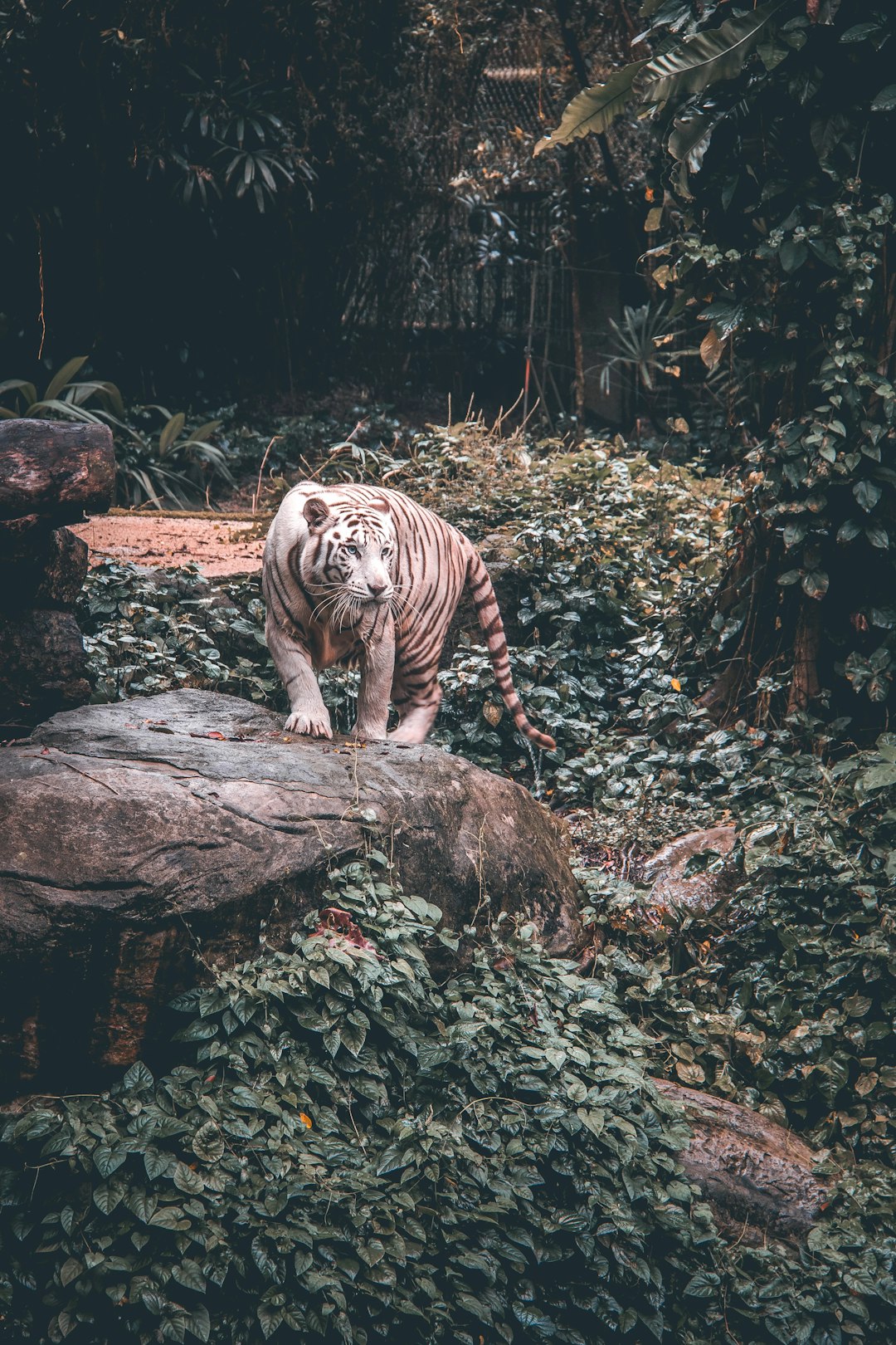 Are Boys Really Wild by Nature? My Honest Take as a Parent