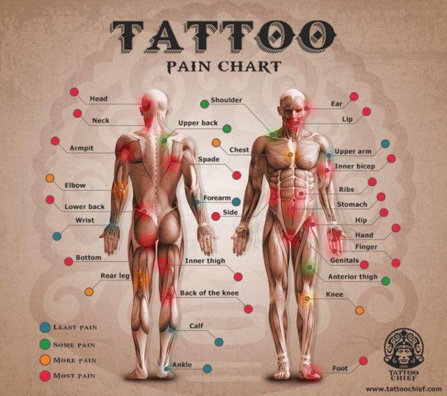 Tattoo Pain: The Surprising Truth About Where It Hurts (and Where It Doesn’t)