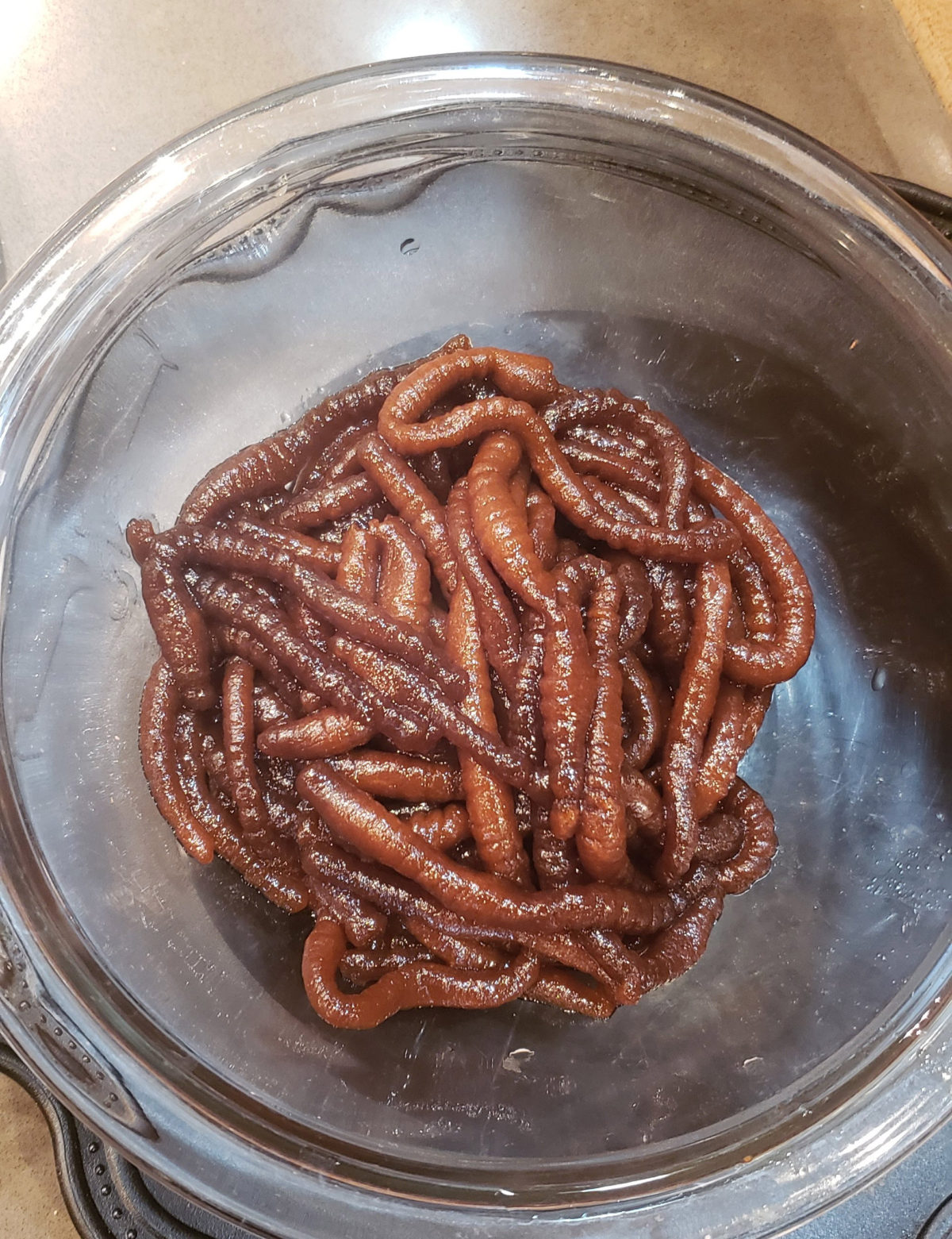 Worms as My Dinner