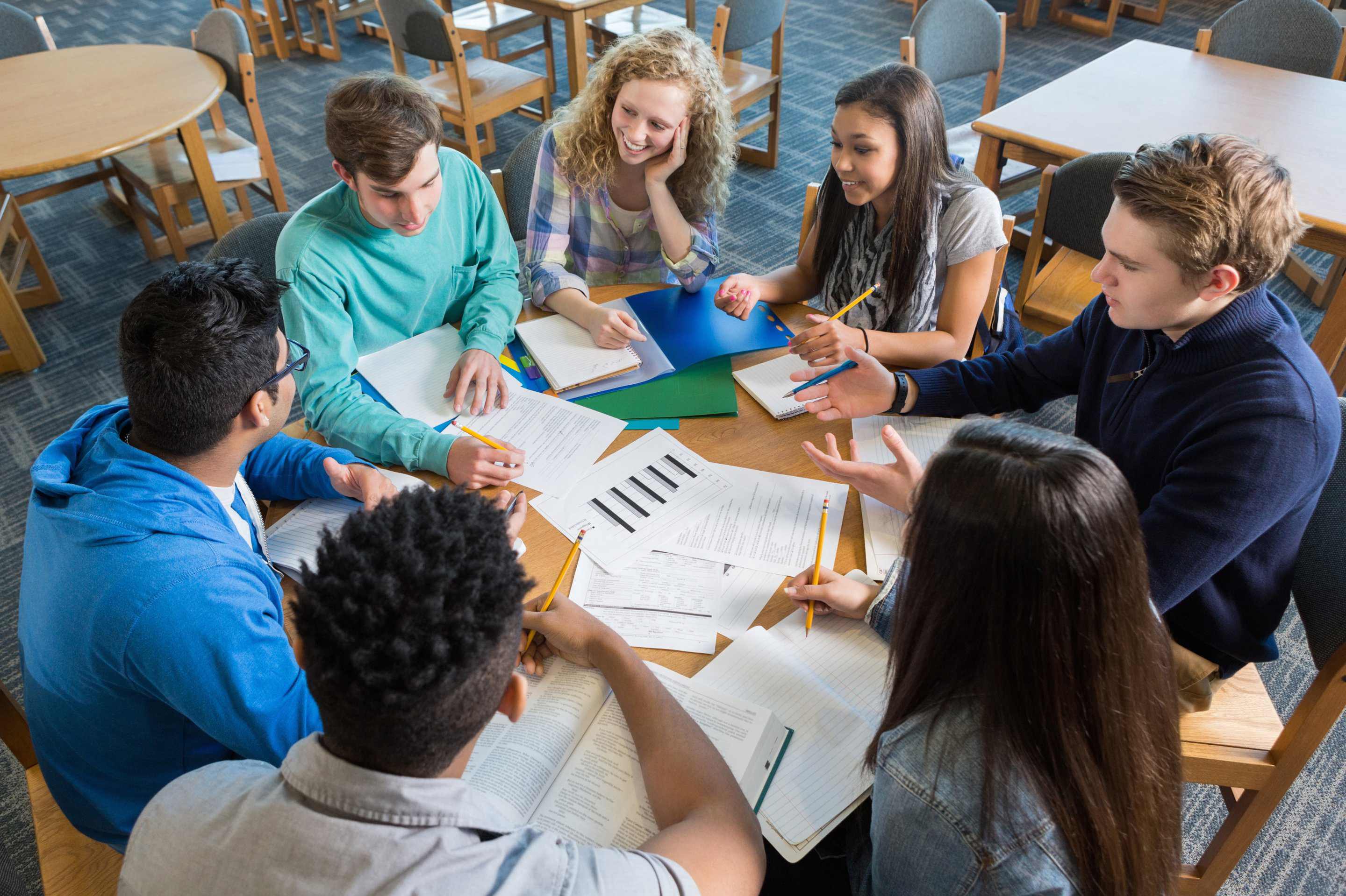 Which Social Studies Course Should We Add Next Year? 🤔
