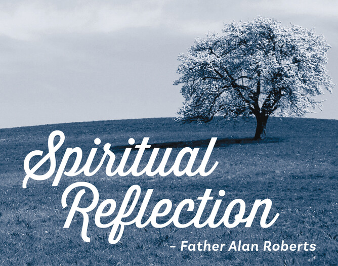 Checking In: How’s Your 2025 Spirit Journey Unfolding?