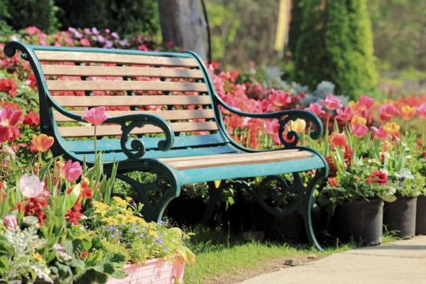why does my tiny garden bench feel like a secret paradise?