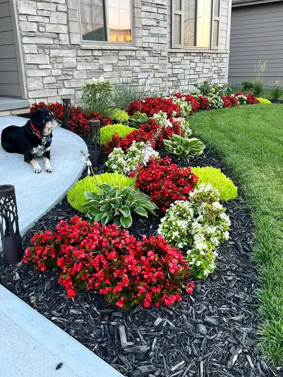 how did i turn my boring front yard into a tiny flower paradise?