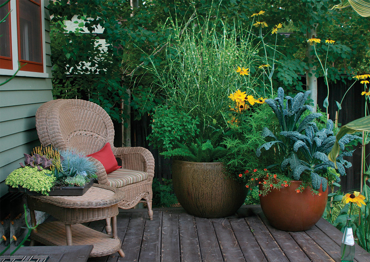 how did moving my tomato pots totally change my patio vibe?