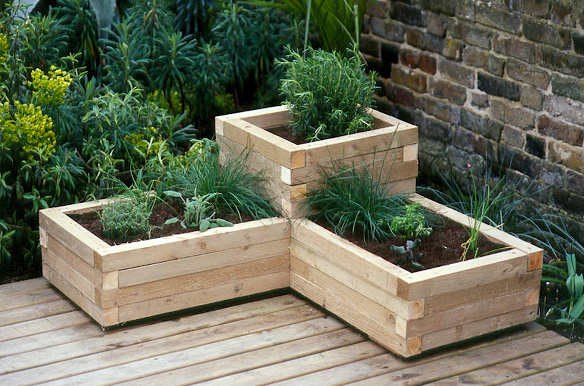 did my grandpa’s handmade planter totally change my green thumb?
