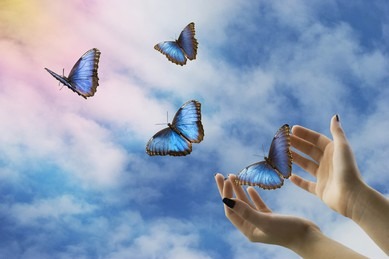 Letting Go: The Key to Surviving a Chaotic World