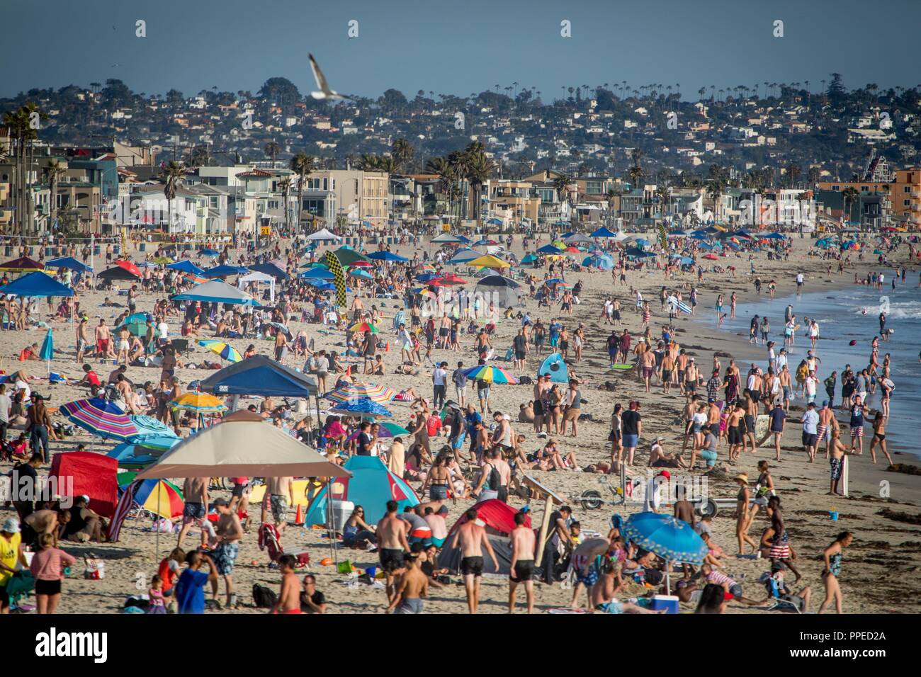 San Diego: Dream or Disaster?