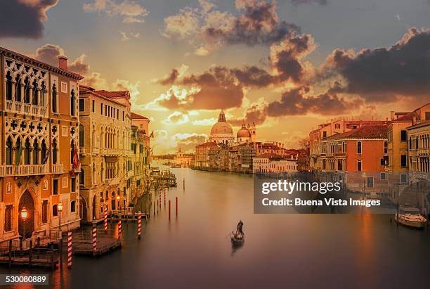 Venice at Dusk: A Bitter Truth