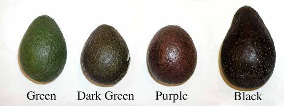 Avocado Ripe Test: My Grocery Store Trick 🥑