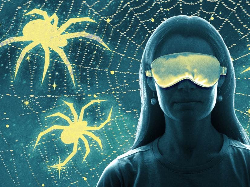 My Wild Spider Dreams (And What I Learned)