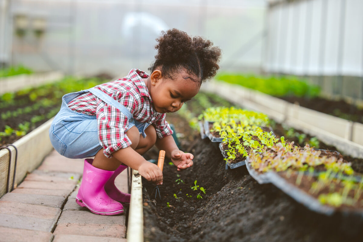 why does planting tomatoes with a toddler feel like winning the lottery?