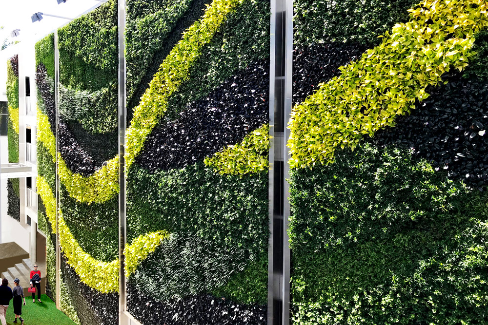 how did my plain garage wall turn into a plant lover’s paradise?