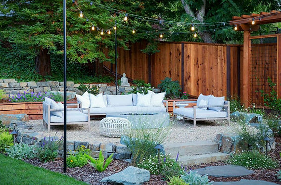 how did i turn my wild backyard into a plant lover’s paradise?