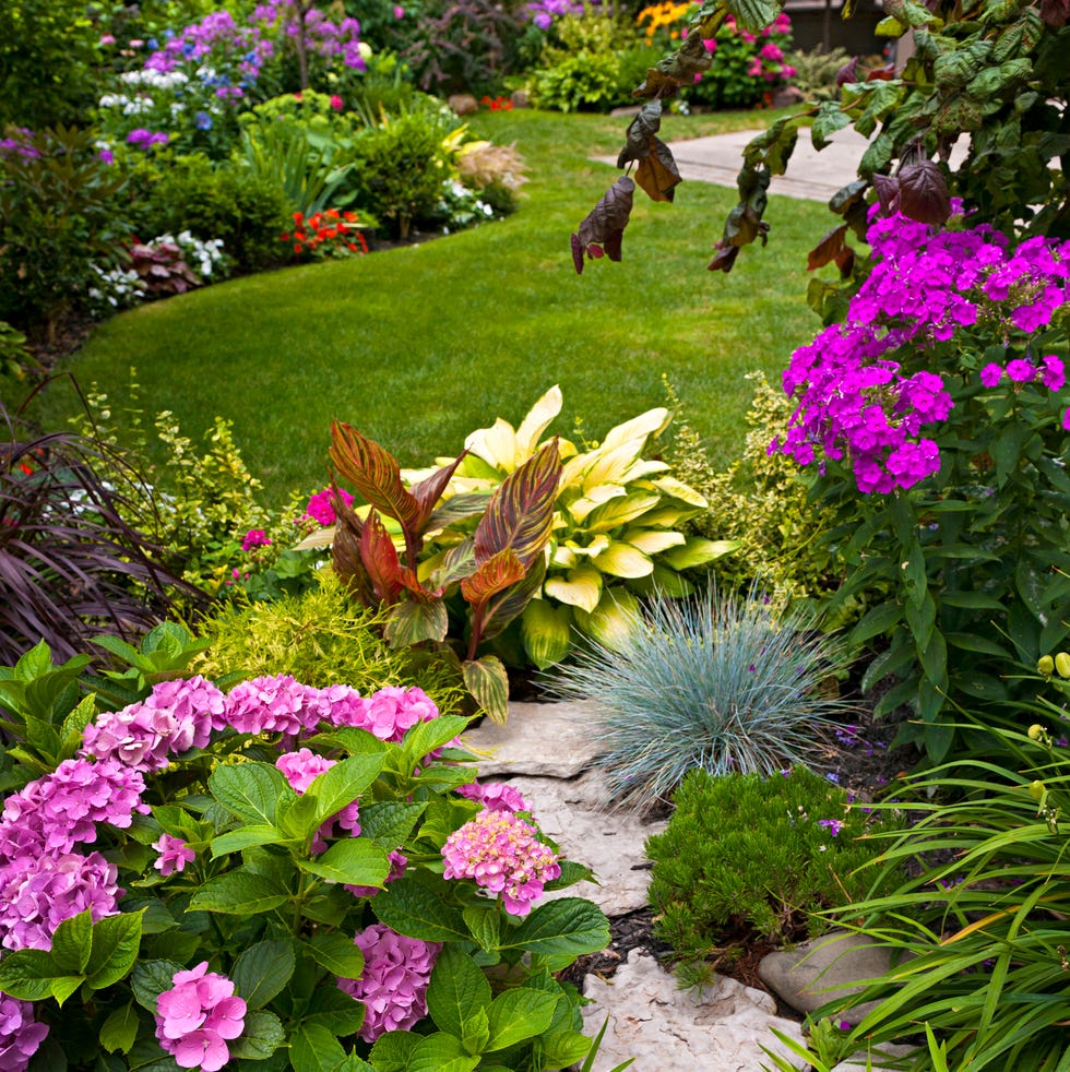how did my mom’s wildflower driveway turn into a secret paradise?